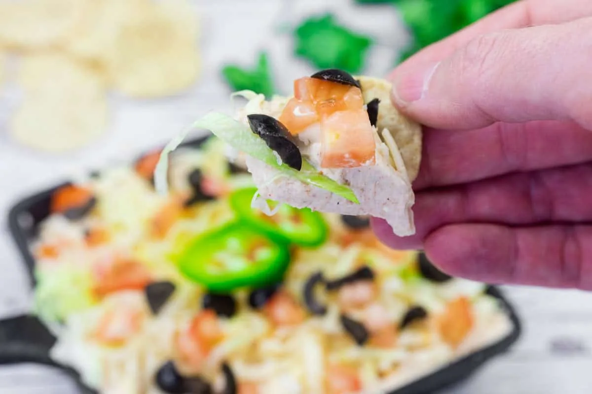 Tex-Mex Taco Dip