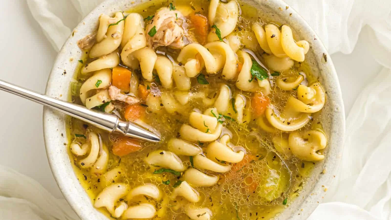 Instant Pot Chicken Noodle Soup
