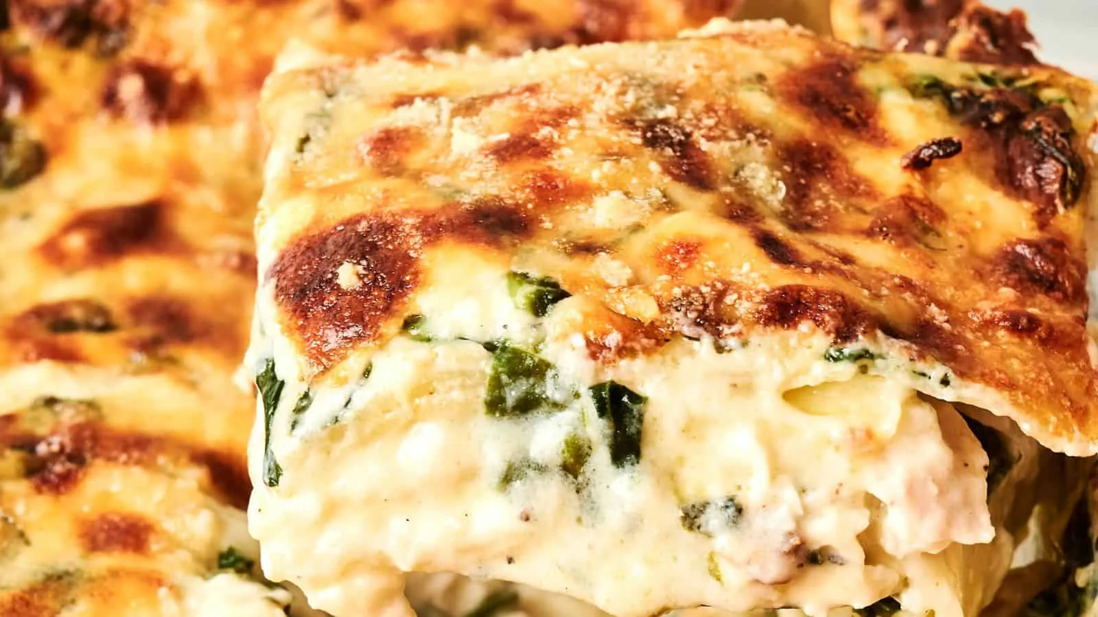 Chicken Alfredo Lasagna