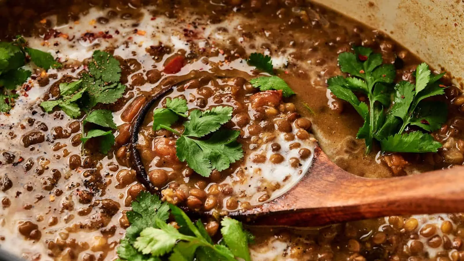 Vegan Lentil Soup