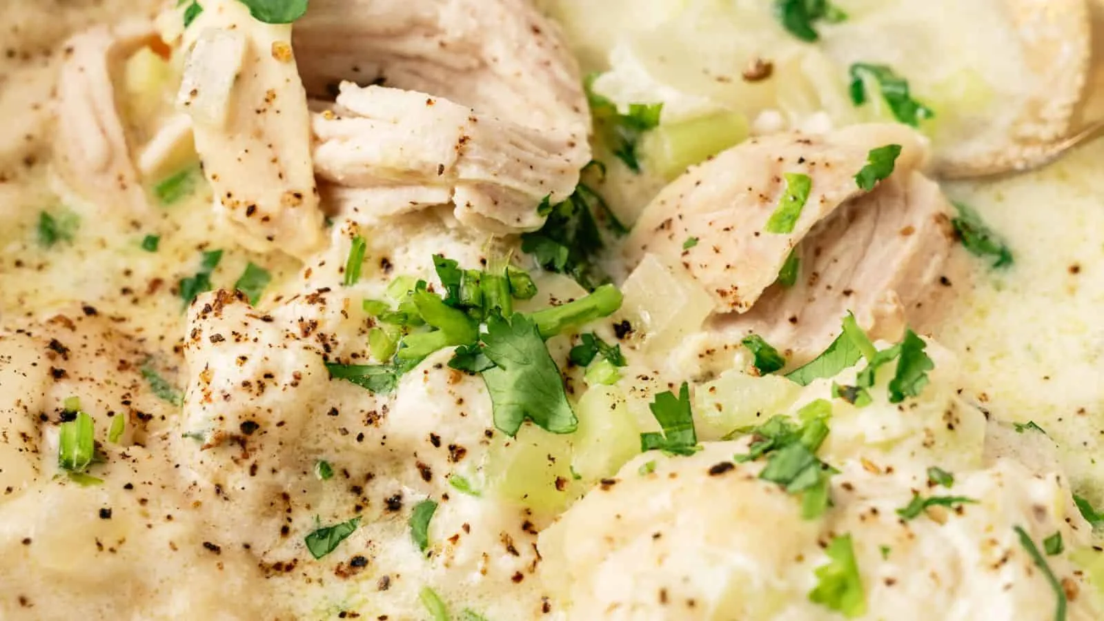 Chicken Dumpling Soup